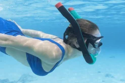 Bestway Swim Gear< Flowtech Full-Face Snorkel Mask L/Xl, Teal