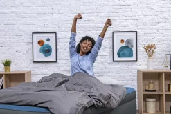 Bestway Indoor Air Mattresses< Tough Guard Air Mattress Twin 18 With Built-In Ac Pump And Antimicrobial Coating
