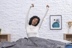 Bestway Indoor Air Mattresses< Tough Guard Air Mattress Queen 18 With Built-In Ac Pump And Antimicrobial Coating