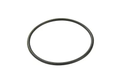 Bestway Pool Parts<Filter Cap Seal For 330 Gal Filter Pumps